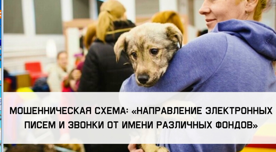 Будьте внимательны! Мошенники! Будьте внимательны! Мошенники!.